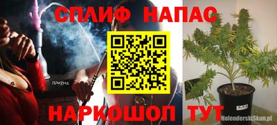 стафф Кимры