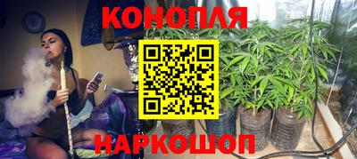 стафф Кимры
