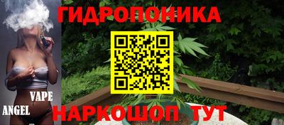 сатива Кинель