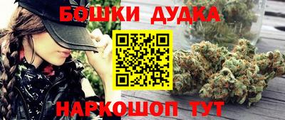 сатива Кинель